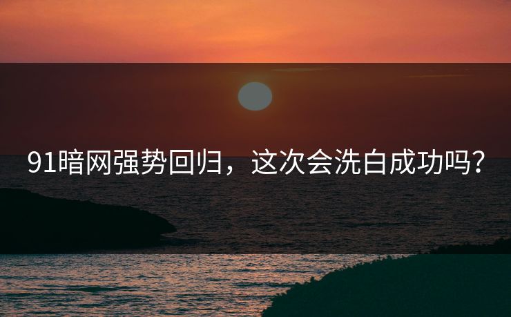 91暗网强势回归，这次会洗白成功吗？