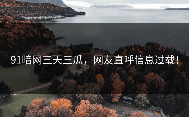 91暗网三天三瓜，网友直呼信息过载！