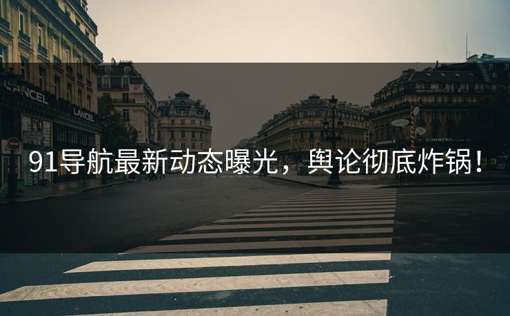 91导航最新动态曝光，舆论彻底炸锅！