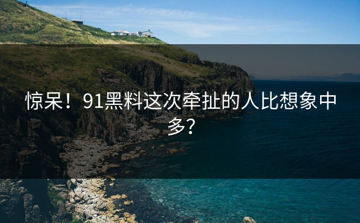 惊呆！91黑料这次牵扯的人比想象中多？