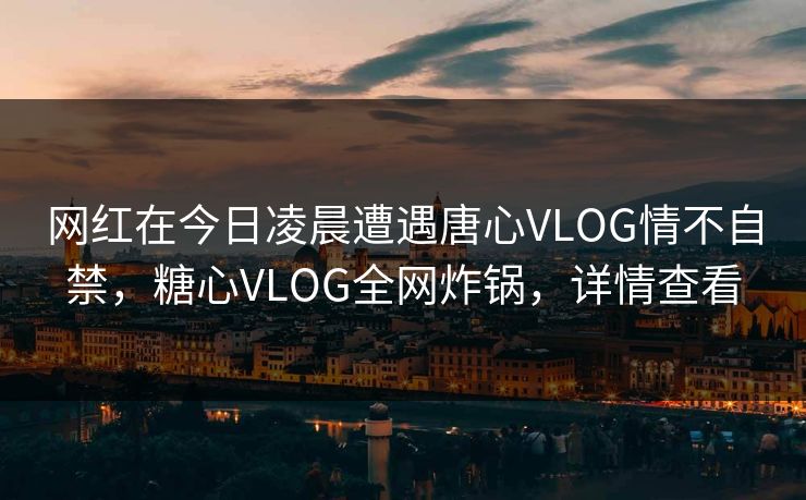 网红在今日凌晨遭遇唐心VLOG情不自禁，糖心VLOG全网炸锅，详情查看