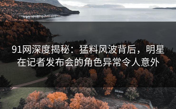 91网深度揭秘：猛料风波背后，明星在记者发布会的角色异常令人意外