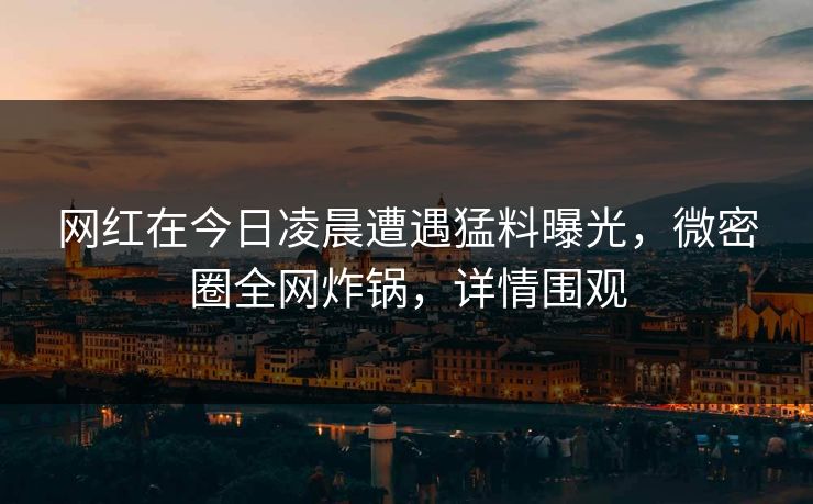 网红在今日凌晨遭遇猛料曝光，微密圈全网炸锅，详情围观